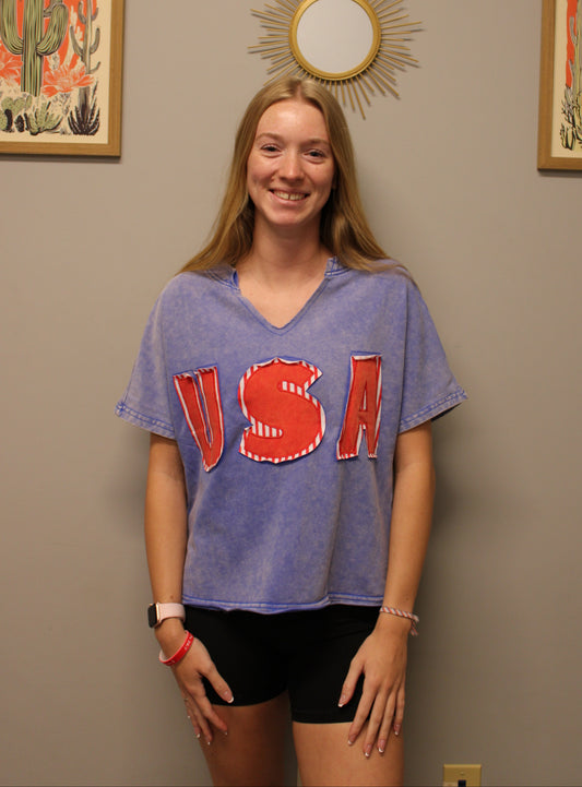 BLUE USA TEE